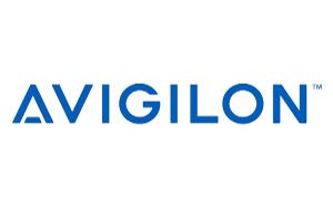 AVGL CEILING PANEL FOR FISHEYE INCEILING AVGL CEILING PANEL FOR FISHEYE INCEILING